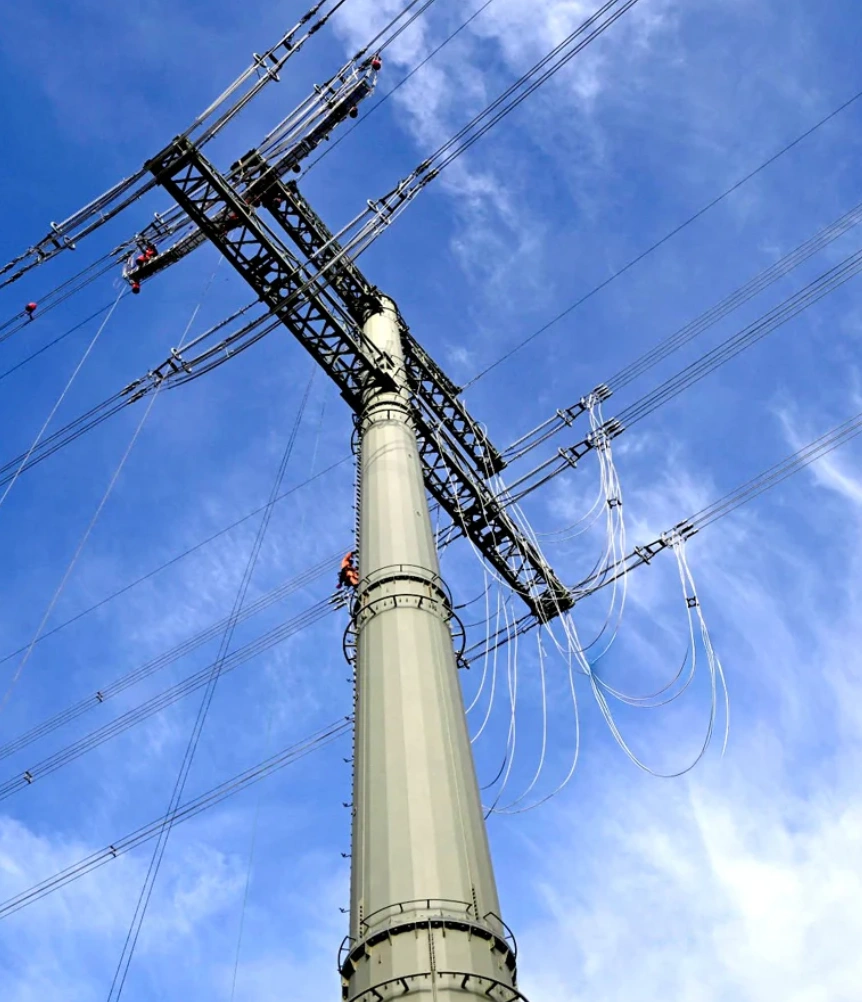 Supply of 115 kV, 150 Custom-Designed Structures with 20 Design Variants for a Project, USA