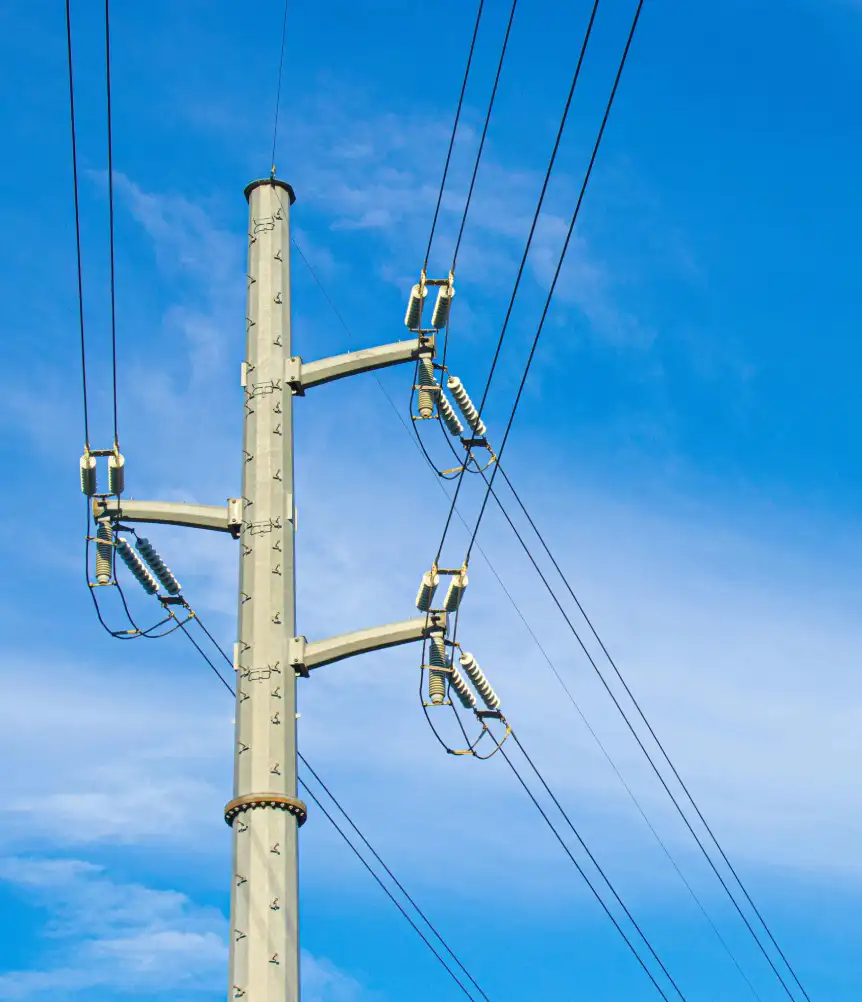 Supply of 115 kV, 150 Custom-Designed Structures with 20 Design Variants for a Project, USA